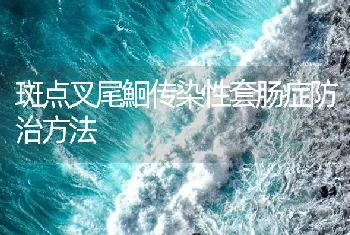 斑点叉尾鮰传染性套肠症防治方法