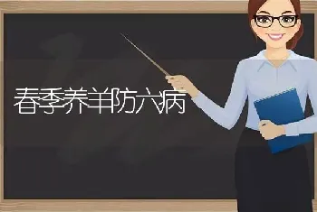 春季养羊防六病