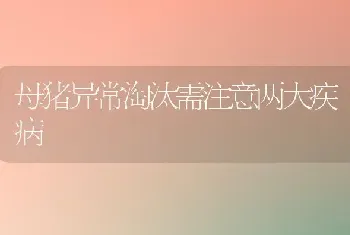 母猪异常淘汰需注意两大疾病