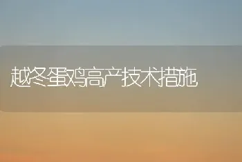 越冬蛋鸡高产技术措施