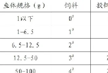 加州鲈生态养殖技术再探