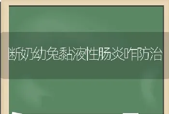 断奶幼兔黏液性肠炎咋防治