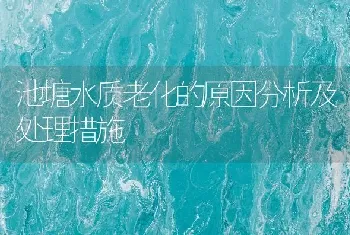 池塘水质老化的原因分析及处理措施