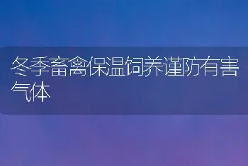 冬季畜禽保温饲养谨防有害气体