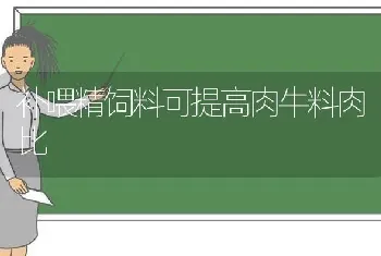 补喂精饲料可提高肉牛料肉比