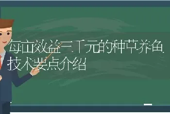 每亩效益三千元的种草养鱼技术要点介绍