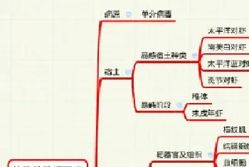 鱼病知识——传染性肌肉坏死病