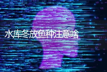 水库冬放鱼种注意啥