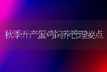 秋季开产蛋鸡饲养管理要点