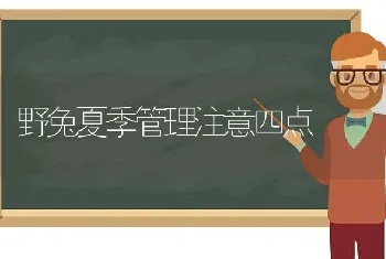 野兔夏季管理注意四点