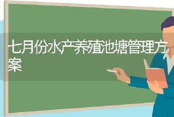 七月份水产养殖池塘管理方案