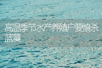 高温季节水产养殖户要慎杀蓝藻