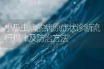 小瓜虫病的病原症状诊断流行规律及防治方法