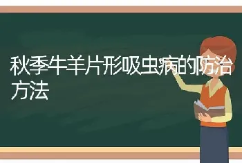 秋季牛羊片形吸虫病的防治方法