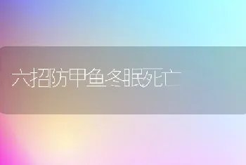 六招防甲鱼冬眠死亡