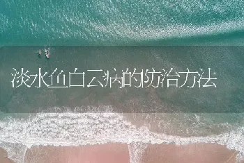 淡水鱼白云病的防治方法