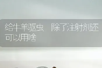 给牛羊驱虫 除了注射剂还可以用啥