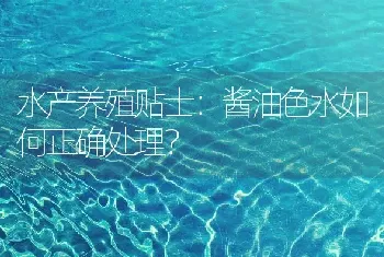 水产养殖贴士：酱油色水如何正确处理?