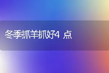 冬季抓羊抓好4点