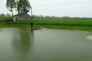 养鱼池水没肥好,要怪下肥太盲目