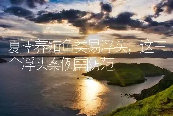 夏季养殖鱼类易浮头,这三个浮头案例需防范