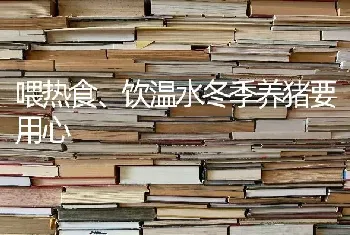 喂热食、饮温水冬季养猪要用心