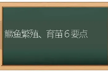 鳜鱼繁殖、育苗６要点