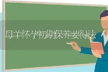 母羊怀孕初期保养要得法