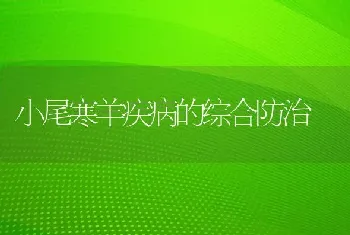 小尾寒羊疾病的综合防治