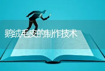 鹅绒毛皮的制作技术