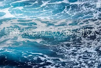 鲤鱼水霉病症状及防治技术