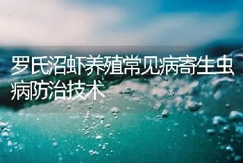 罗氏沼虾养殖常见病寄生虫病防治技术