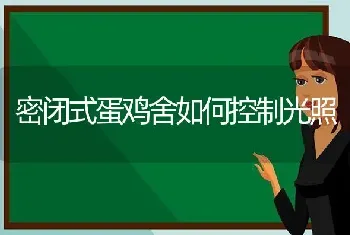 密闭式蛋鸡舍如何控制光照