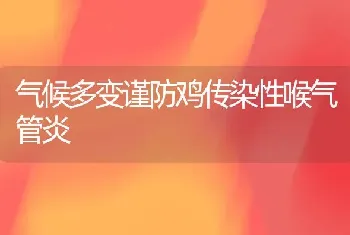 气候多变谨防鸡传染性喉气管炎