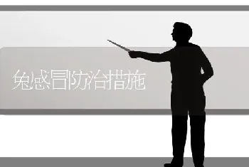 兔感冒防治措施