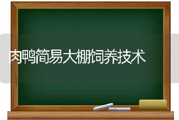 肉鸭简易大棚饲养技术