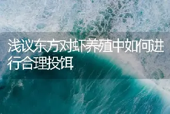 浅议东方对虾养殖中如何进行合理投饵