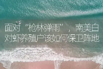 面对“枪林弹雨”,南美白对虾养殖户该如何保卫阵地