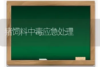 猪饲料中毒应急处理