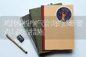 鸡传染性喉气管炎的诊断要点与防治措施