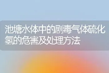 池塘水体中的剧毒气体硫化氢的危害及处理方法