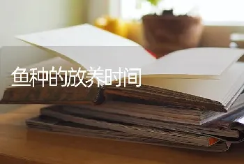 鱼种的放养时间