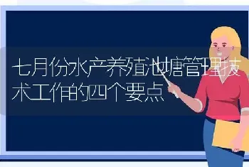 七月份水产养殖池塘管理技术工作的四个要点