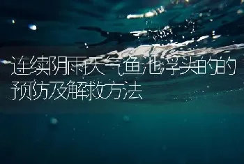 连续阴雨天气鱼池浮头的的预防及解救方法