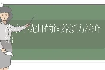 淡水小龙虾的饲养新方法介绍