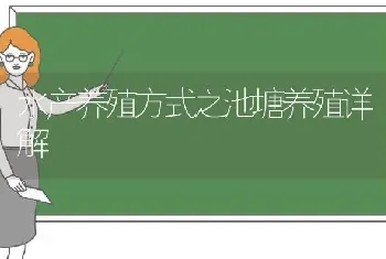 水产养殖方式之池塘养殖详解