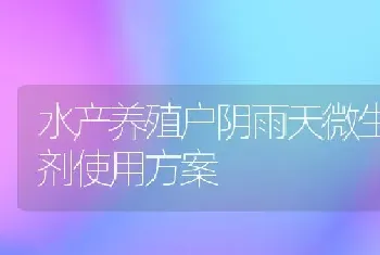 水产养殖户阴雨天微生物制剂使用方案