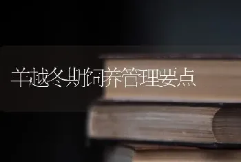 羊越冬期饲养管理要点