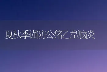 夏秋季谨防公猪乙型脑炎