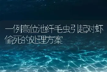 一例高位池纤毛虫引起对虾偷死的处理方案